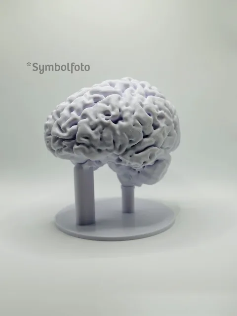 Personalised 3D print of your own life-size brain | MRI data